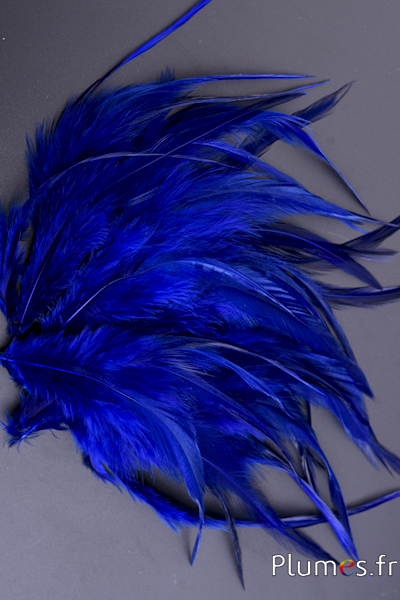 Coq - 15-18 cm - bleu café